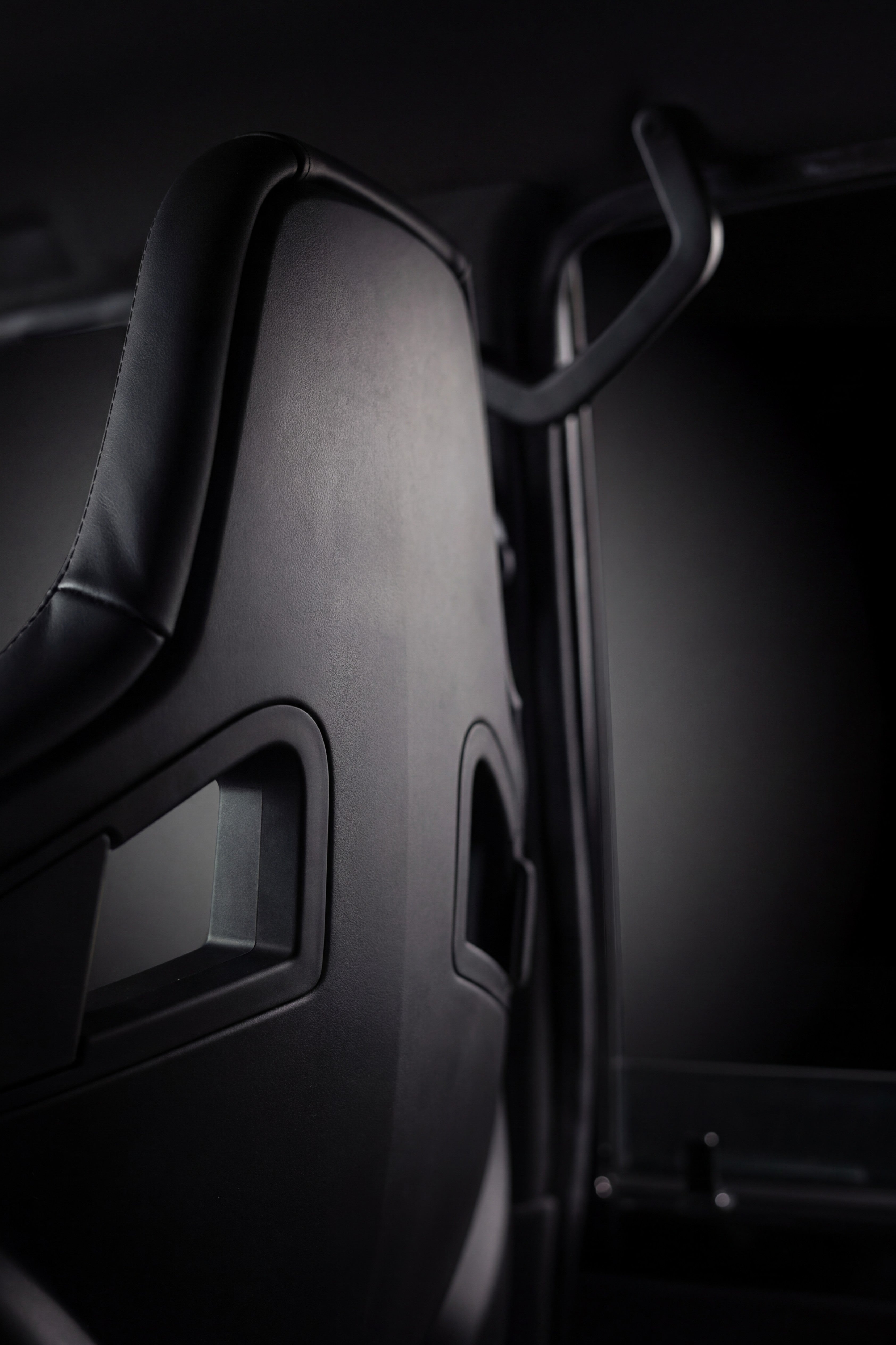 Leather back panel grab bar above