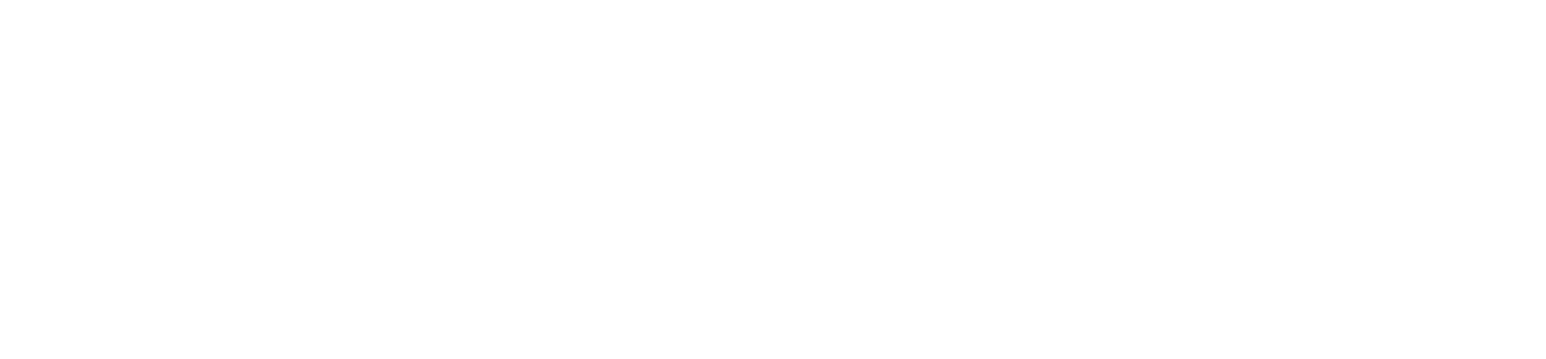 PVS Automotive