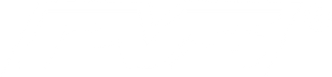 PVS Automotive